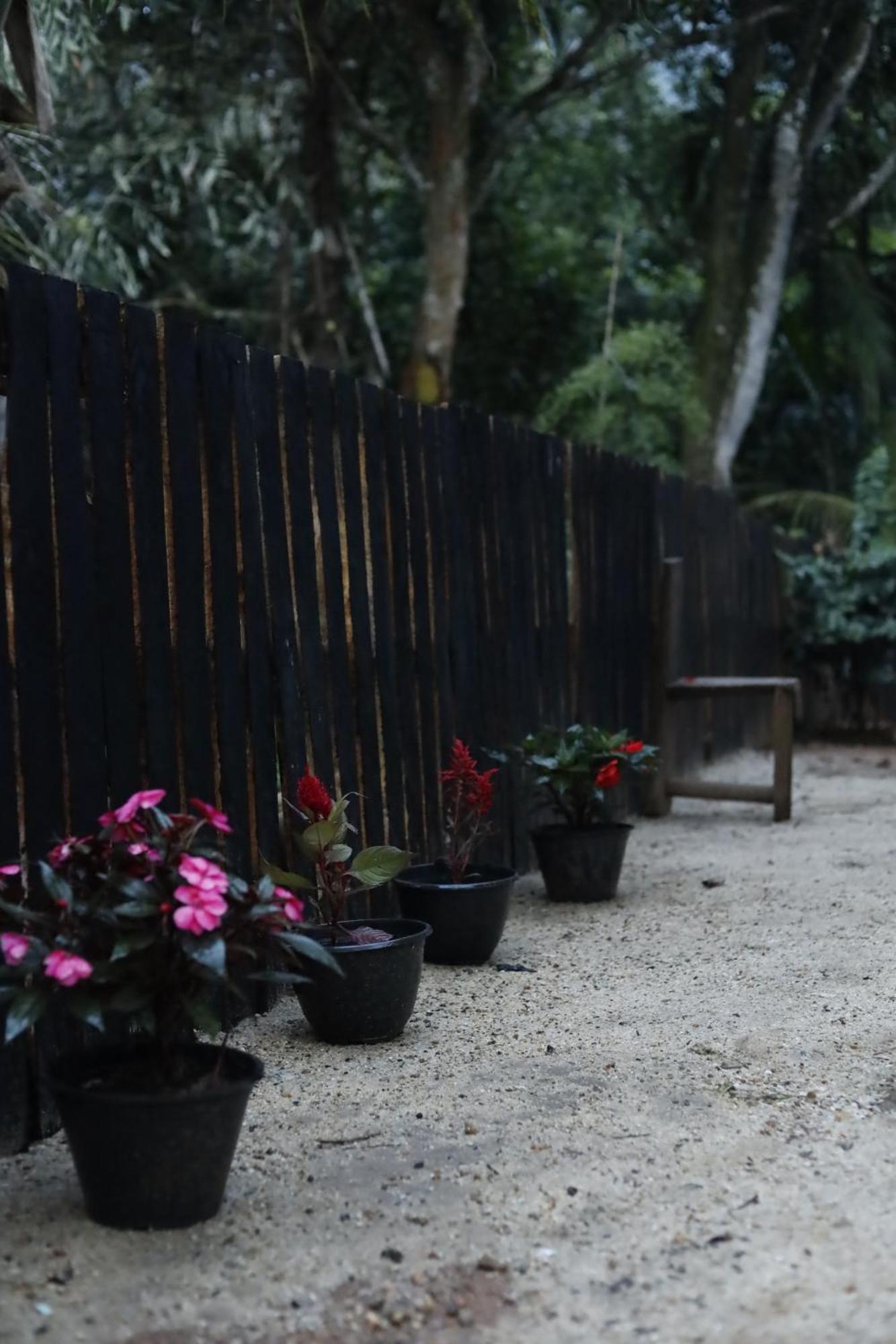 Bed & Baggage Hostel Ella Εξωτερικό φωτογραφία